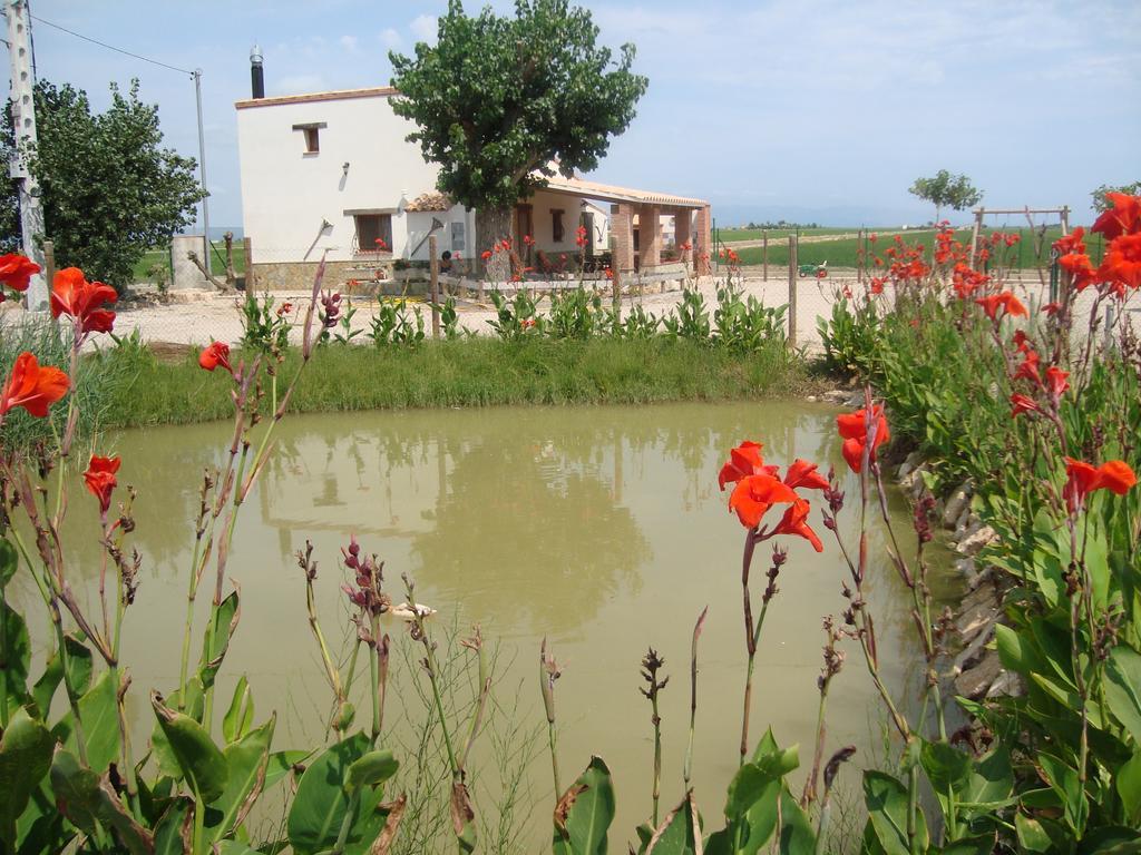 Caseta Les Creus Riumar Exteriör bild