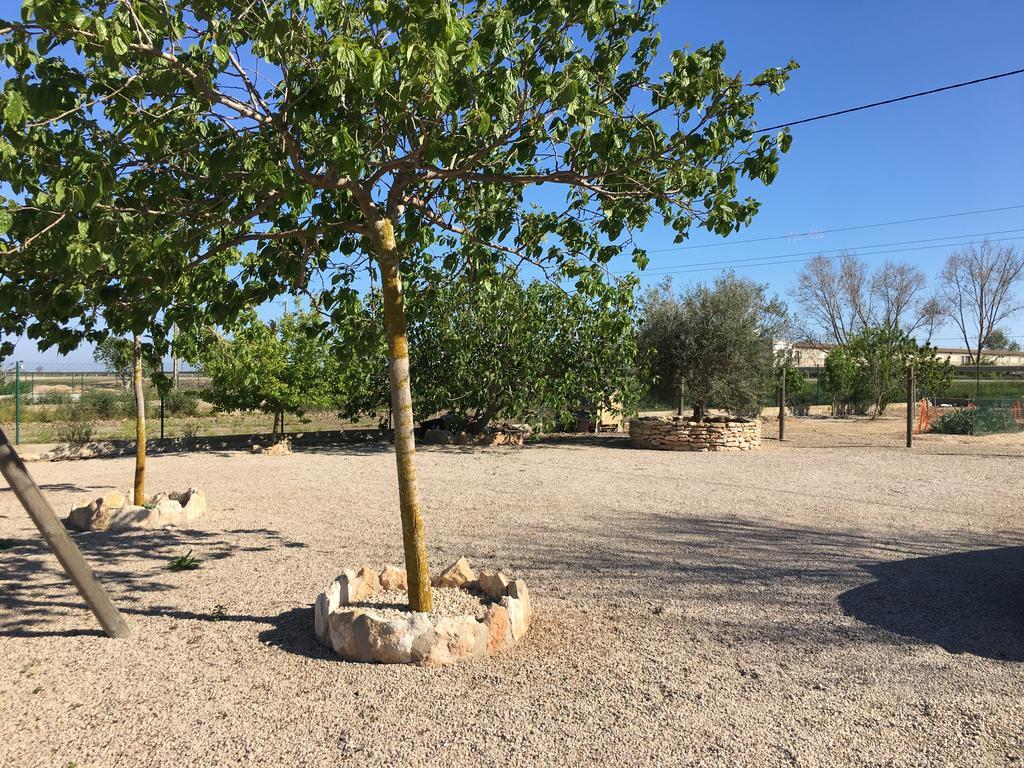 Caseta Les Creus Riumar Exteriör bild