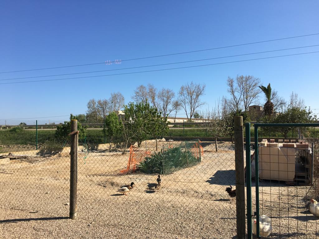 Caseta Les Creus Riumar Exteriör bild